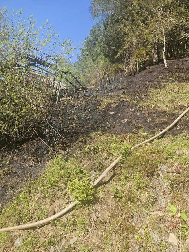 Slika članka