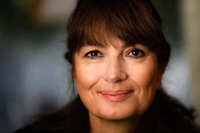 Slika članka