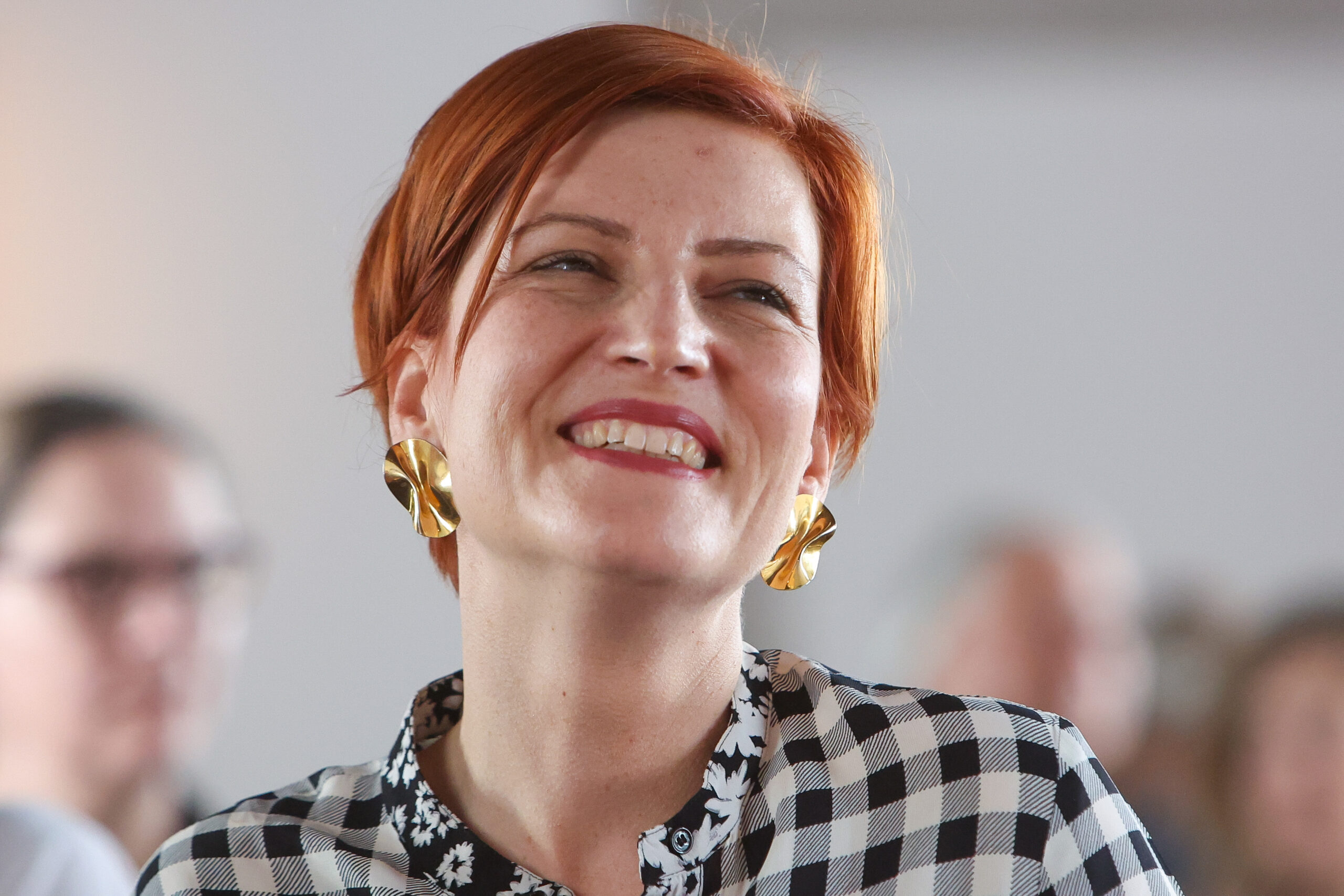 Slika članka