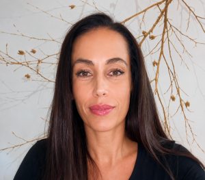 Slika članka