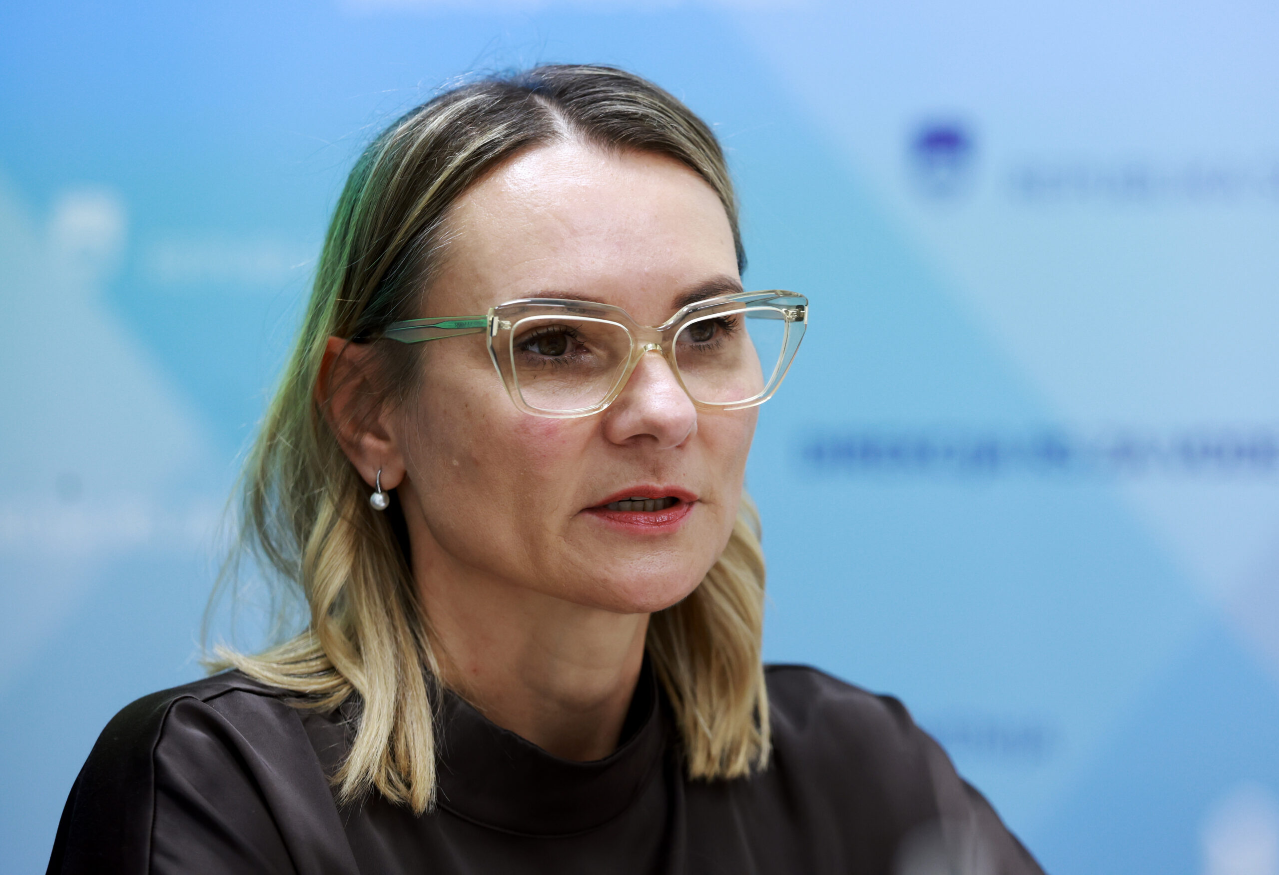Slika članka