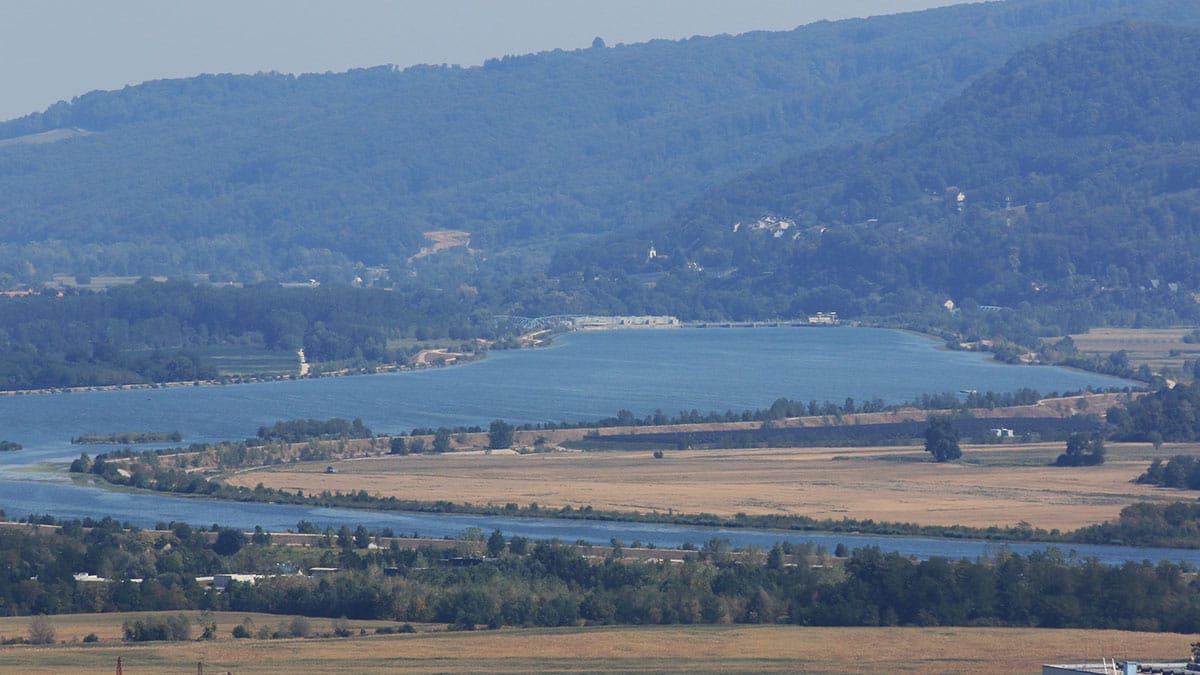 Slika članka