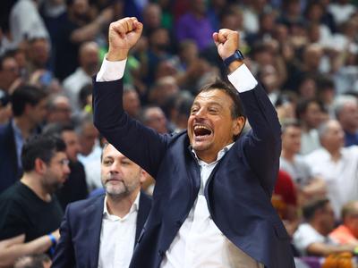 Slika članka