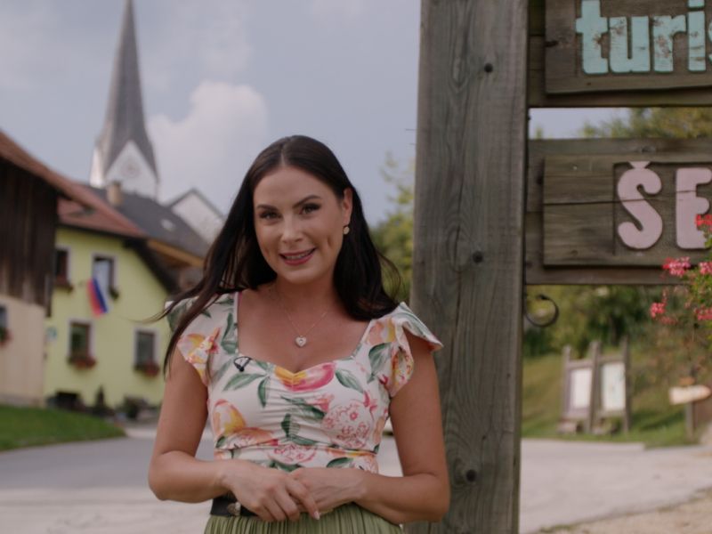 Slika članka