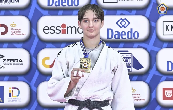 Slika članka