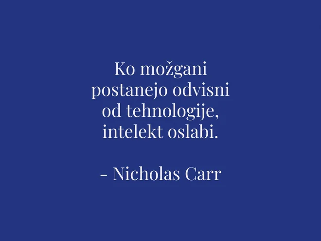 Slika članka