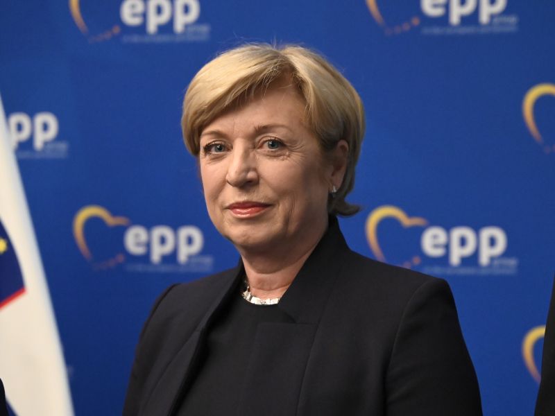 Slika članka