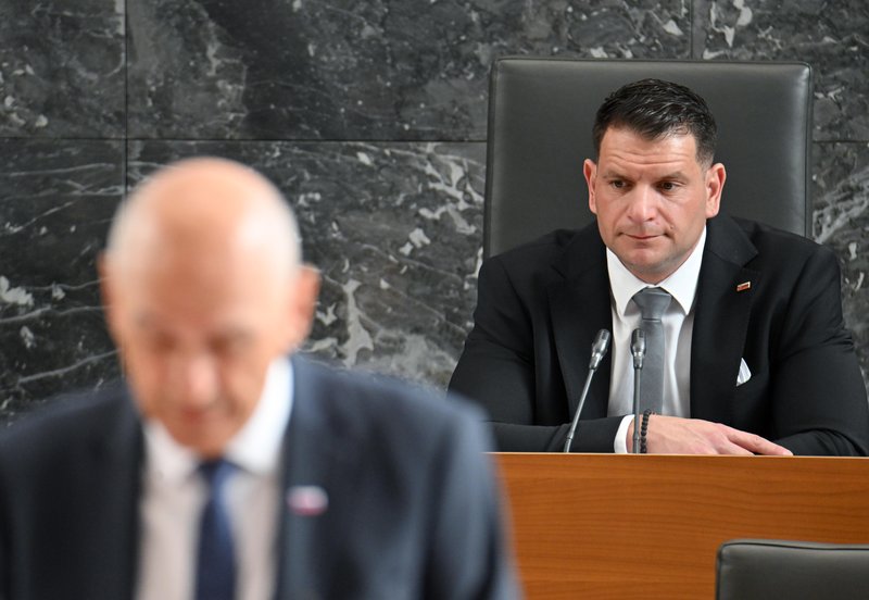 Slika članka