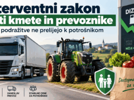 Slika članka