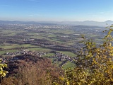 Slika članka