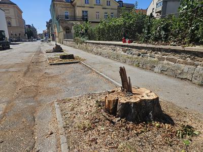 Slika članka