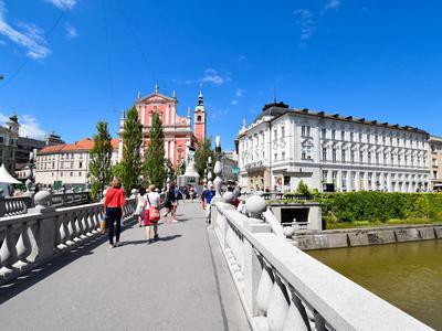 Slika članka