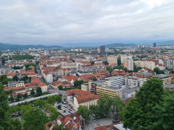 Slika članka