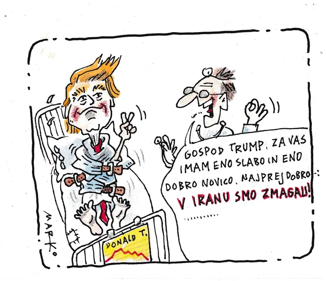 Slika članka
