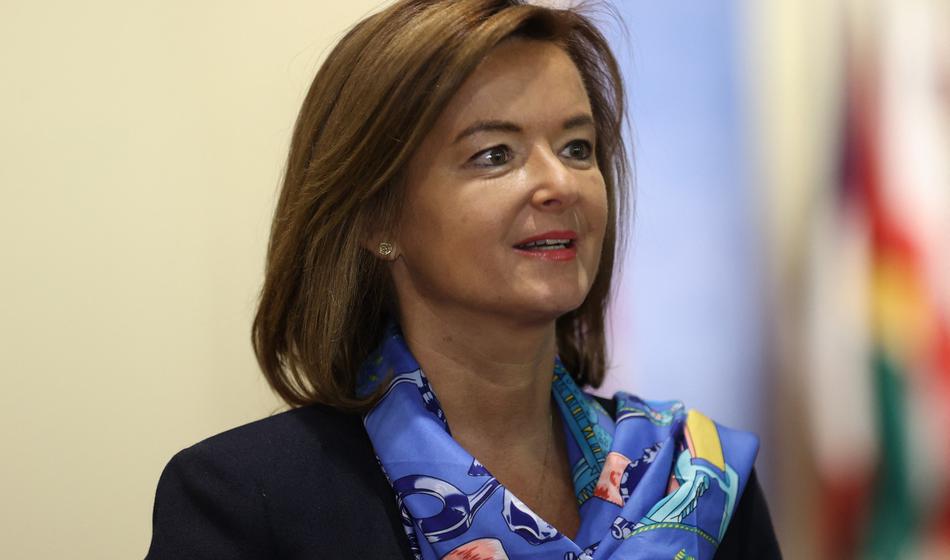 Slika članka