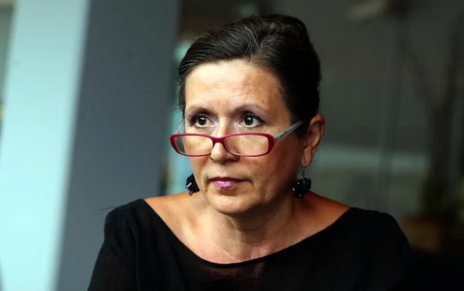 Slika članka