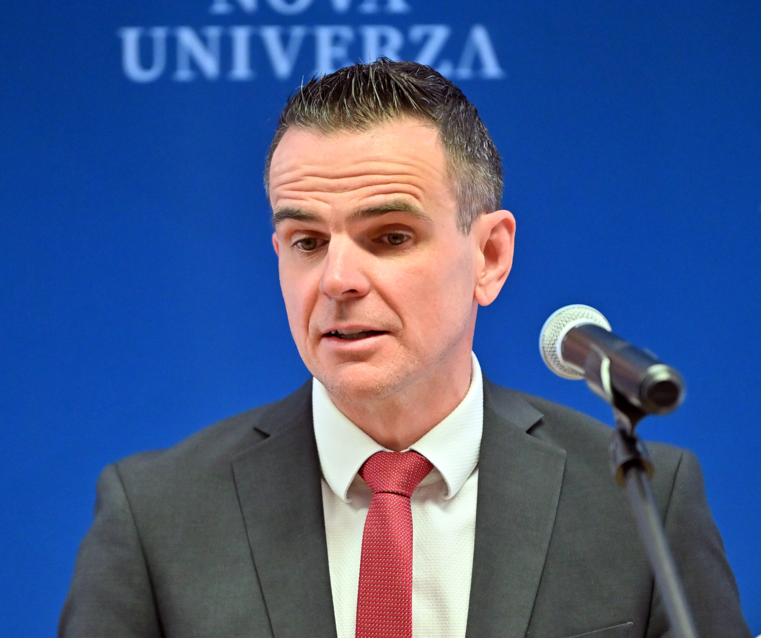 Slika članka