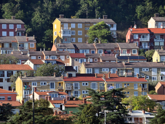 Slika članka