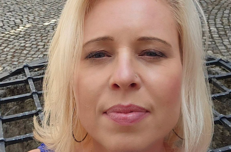 Slika članka