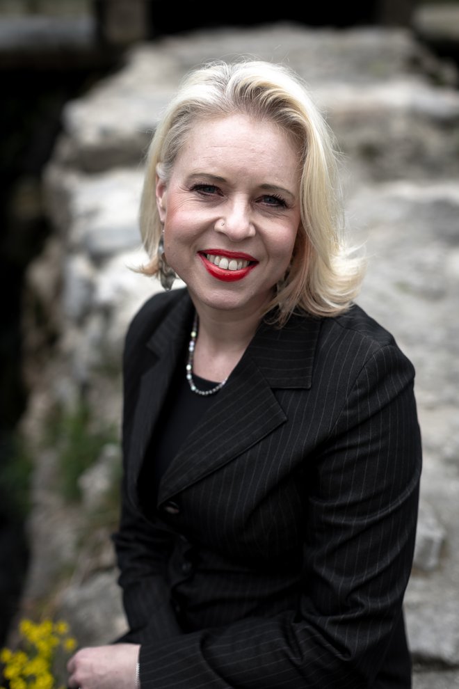 Slika članka