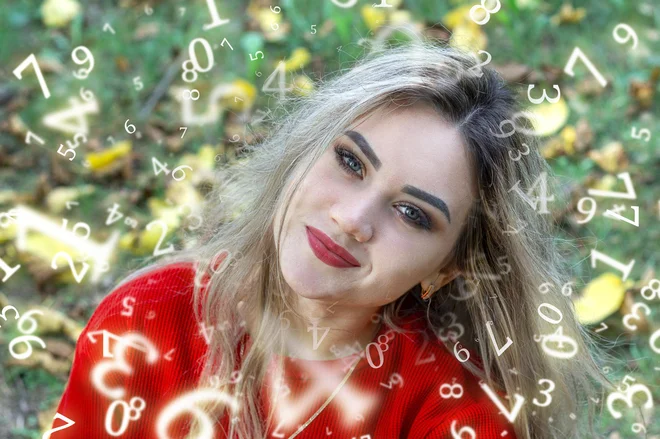 Slika članka