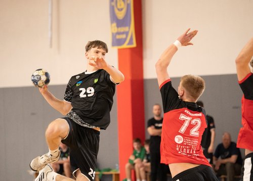 Slika članka
