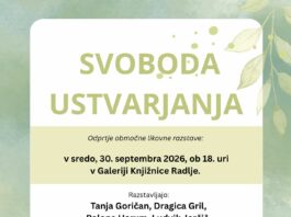 Slika članka