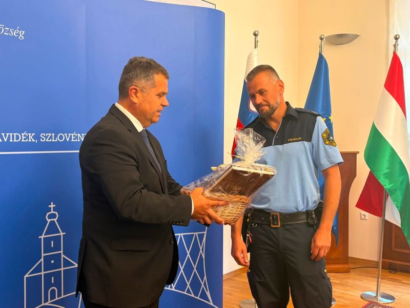 Slika članka