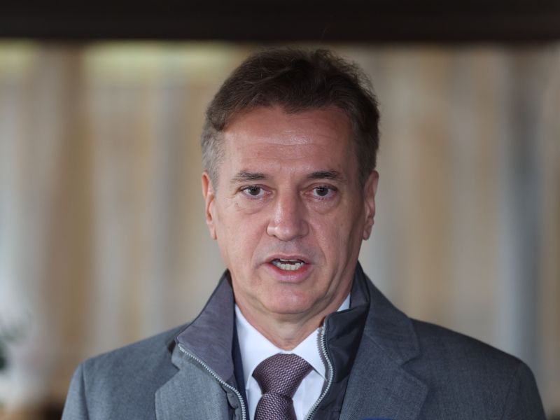 Slika članka