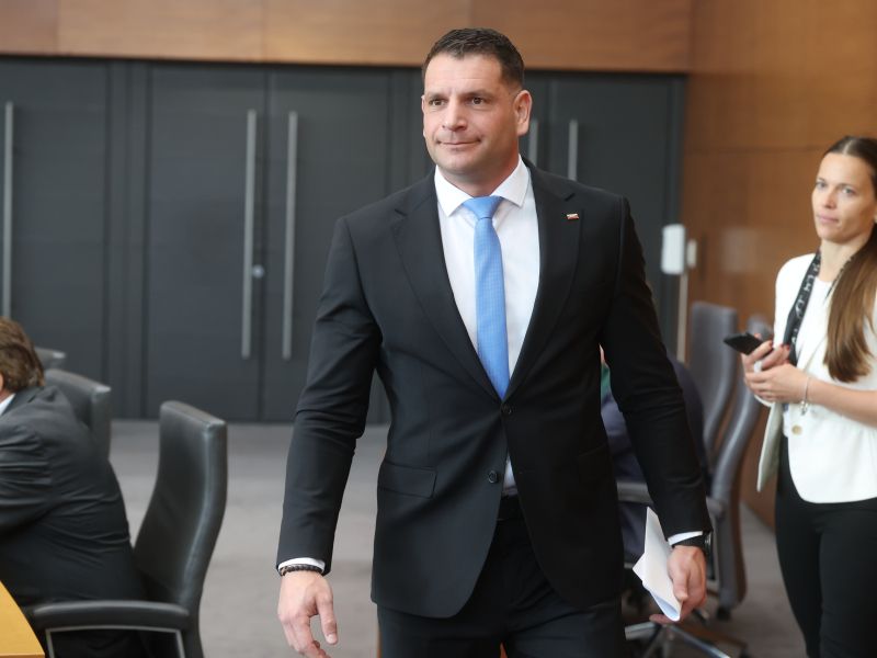 Slika članka