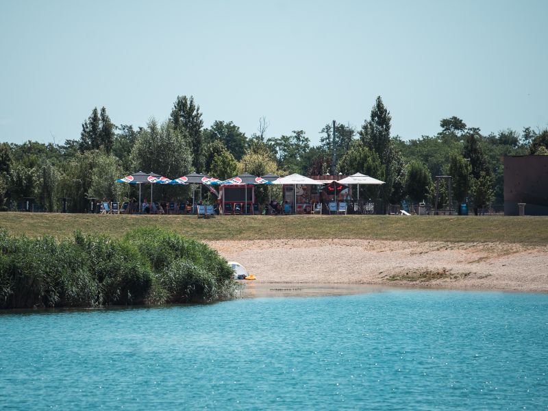 Slika članka