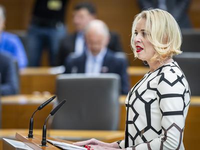 Slika članka