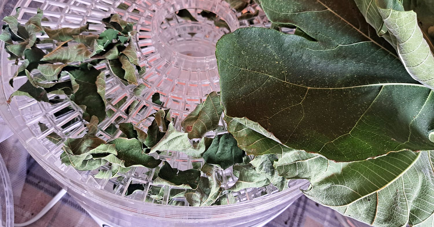 Slika članka