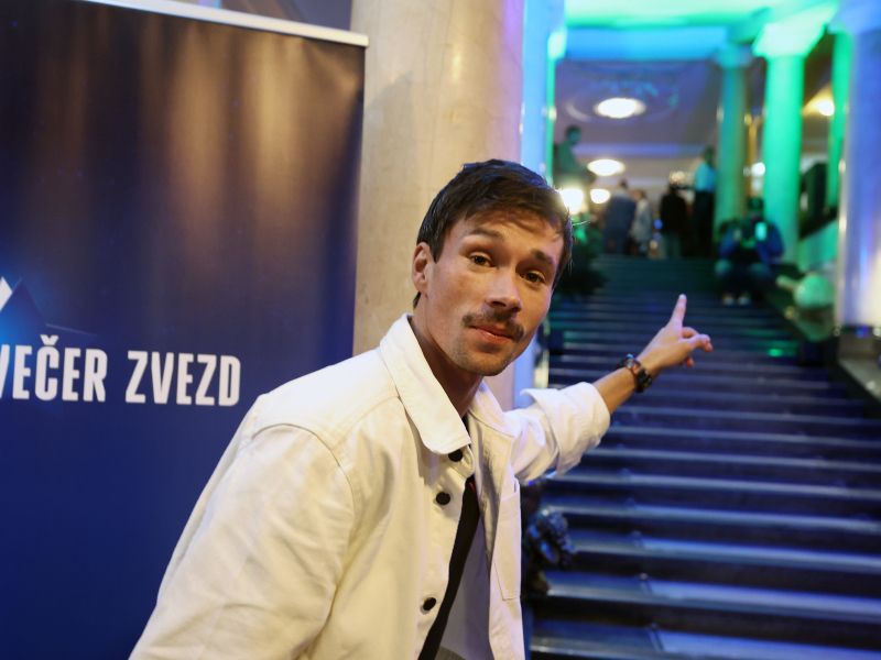 Slika članka