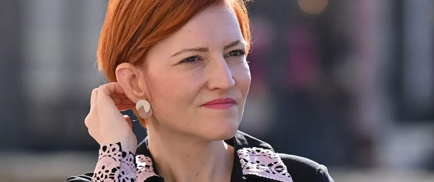 Slika članka