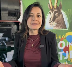 Slika članka