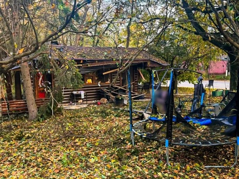 Slika članka