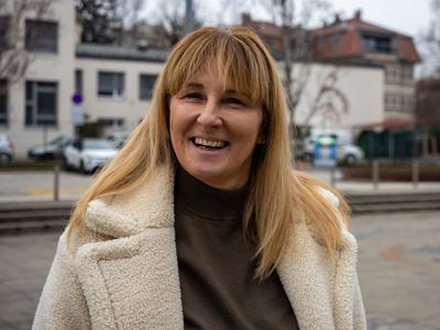 Slika članka