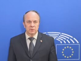 Slika članka
