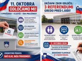 Slika članka