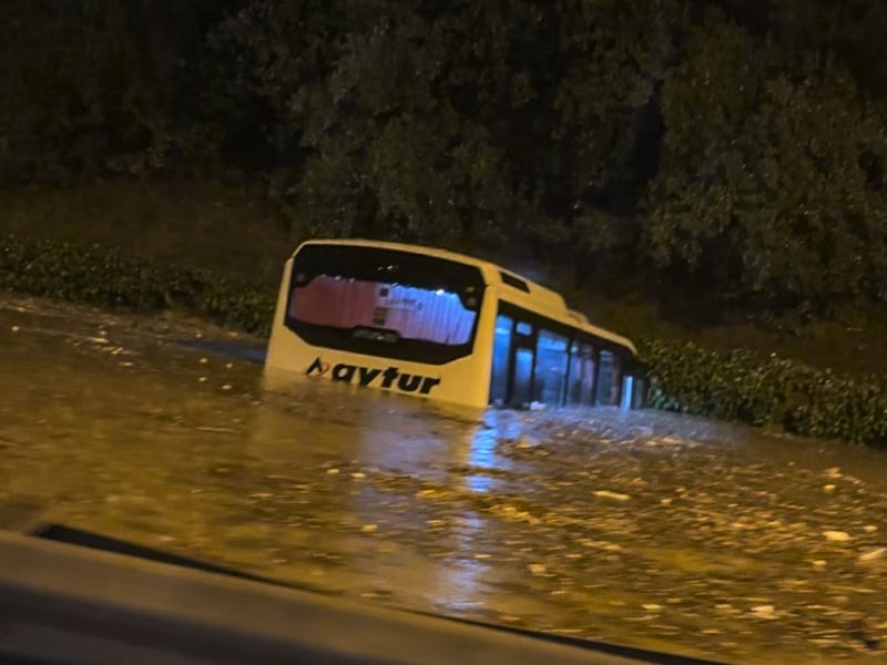 Slika članka