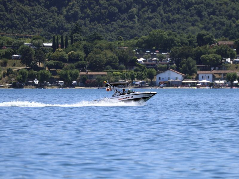 Slika članka