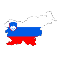 Slika članka
