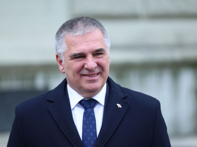 Slika članka