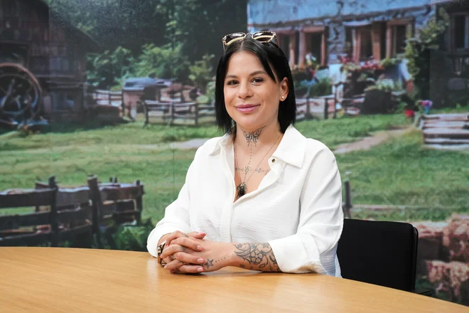 Slika članka