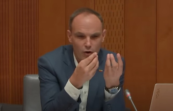 Slika članka