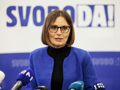 Slika članka