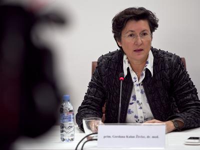 Slika članka