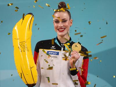 Slika članka