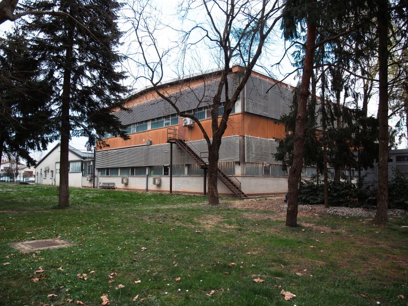 Slika članka